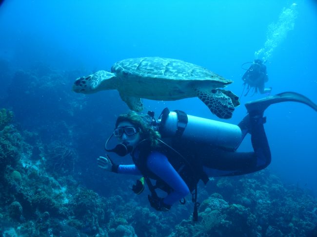 Mergulho é opção de presente (foto: Divulgação)