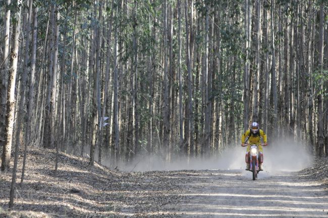 Cidade será sede da competição entre 3 e 5 de abril (foto: David Santos Jr)