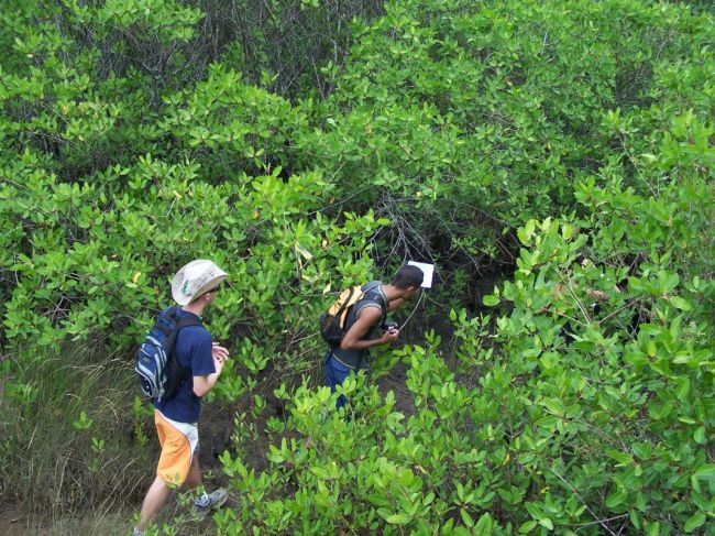 Participantes enfrentaram trecho de mata fechada (foto: Divulgação)