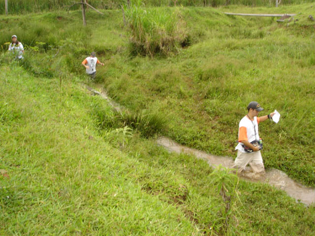 Etapa do Paulista (foto: Divulgação)