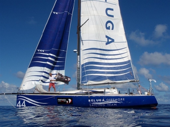 Beluga Racer passa a frente de chilenos e abre vantagem de 30 milhas (foto: Divulgação/ Portimão Ocean Race')