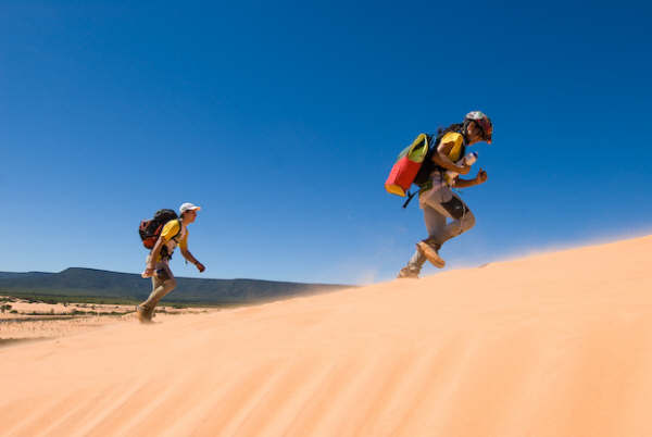 Imagens do filme deram dois prêmios ao filme do Brasil Wild (foto: David Santos Jr./ www.webventure.com.br)