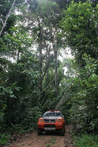 Responsáveis pelo levantamento percorreram 1141 quilômetros de selva (foto: Divulgação)