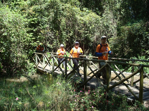 A disputa definirá quais equipes serão promovidas para categorias mais altas (foto: Divulgação)