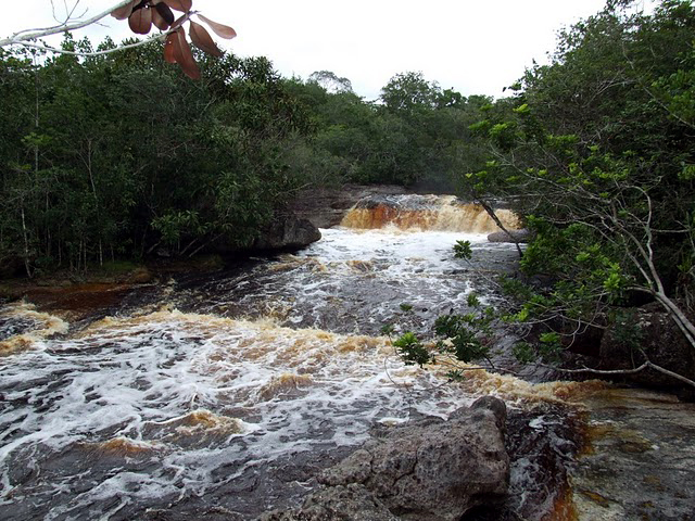 Etapa de Manaus percorrerá o coração da Floresta Amazônica (foto: Alexandre Koda/ www.webventure.com.br)