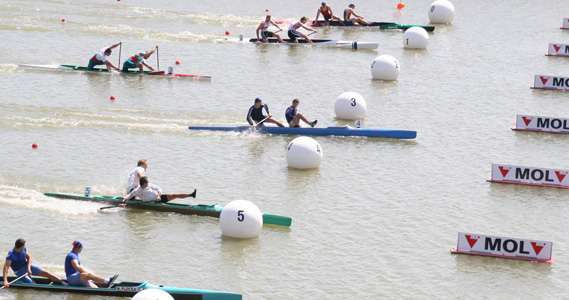 Finais da Copa do Mundo aconteceram no último domingo (30) (foto: Divulgação)