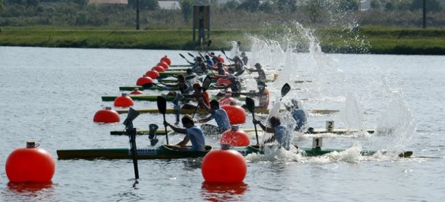 Brasil conquistou dez medalhas no Campeonato Pan-americano (foto: Divulgação)