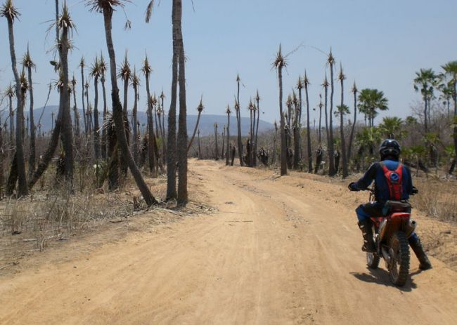 Primeiro dia da competição terá um percurso de 400 quilômetros (foto: Divulgação)