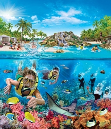 O The Grand Reef explorará recifes inspirados em ambientes tropicais de todo o mundo  (foto: Divulgação)