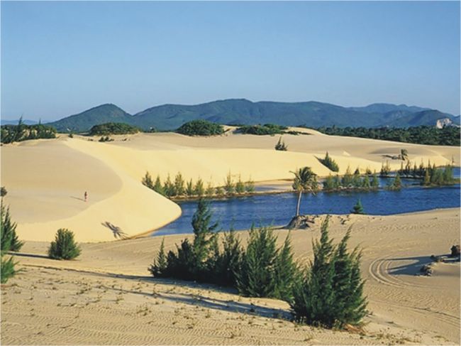 Praia de Cumbuco  em Fortaleza (CE) (foto: Divulgação)