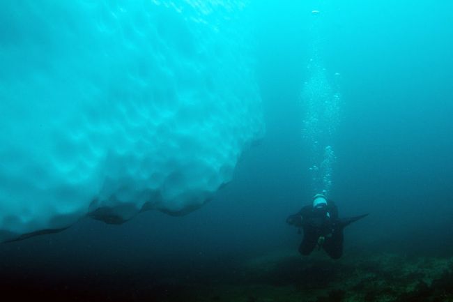 Mergulho ao lado de iceberg (foto: Arquivo pessoal/ Paulo Lopes)