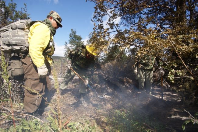 Brigadistas que estão tentando controlar o fogo  (foto: Divulgação Exército do Chile)