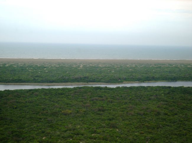 Lagoa e região de restinga (foto: Divulgação André Ilha)