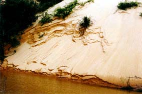 Deserto vai receber 50 equipes (foto: Divulgação)