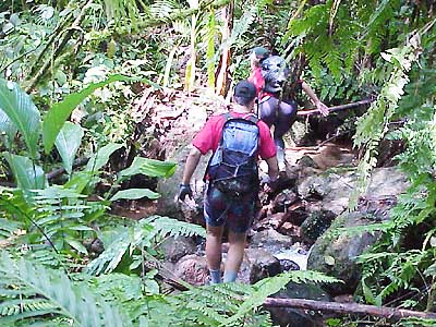 A equipe Guiça  de Luis Makoto  no segundo trecho de trekking; mata fechada foi o desafio. (foto: André Pascowitch)