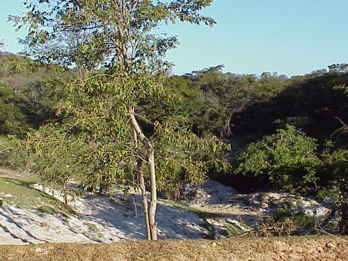 Paisagem da Serra do Cipó (foto: Camila Christianini/Webventure)