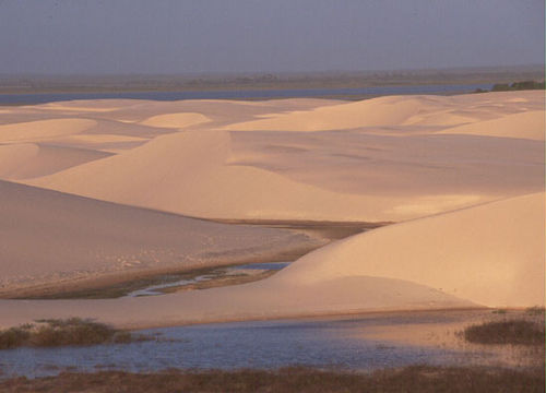 Os Lençois Maranhenses são o trunfo de Barreirinhas. (foto: Lelo Jachimowicz)