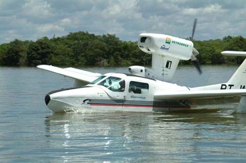 O Talha-mar pousado no Rio Paraná  perto de Guaíra (PR) (foto: Divulgação)