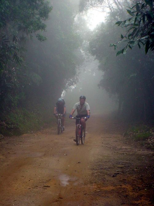 Neblina em trecho da trilha  típico de Petrópolis. (foto: Sampa Bikers)