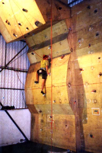 Estudantes descobriram a escalada e agora dão show (foto: Divulgação)