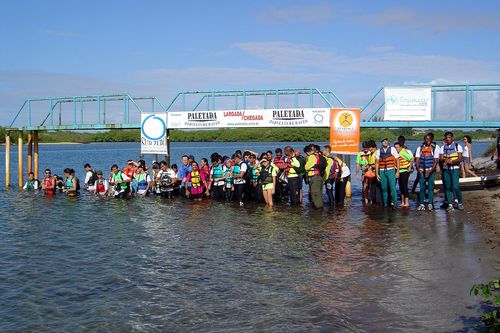 As 20 equipes prontas para largar. (foto: Divulgação)