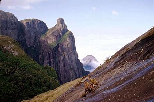 Garrafão no Parque Nacional da Serra dos Órgãos (foto: Helena Artmann)