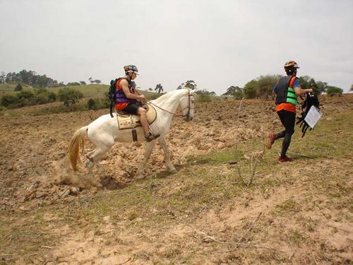 No riderun  um atleta conduzia o cavalo enquanto os outros dois corriam. (foto: Divulgação)