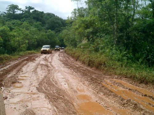 Muita lama no caminho dos aventureiros. (foto: Divulgação)