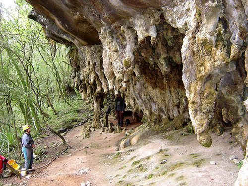 Espeleotemas na Gruta da Varzinha (foto: Augusto Auler)