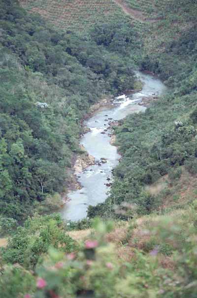 Visual de cima do Rio Jucu. (foto: Arquivo Colca Rafting  Expedições)