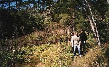 Trecho da Trilha da Garalhada (foto: Arquivo Altus)