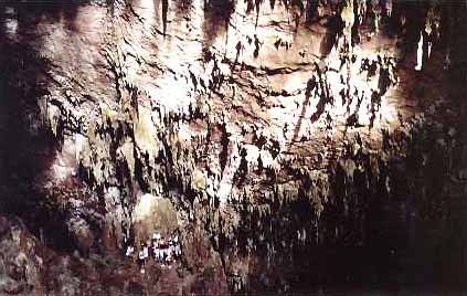 Detalhe dos estalactites na gruta do Lago Azul. (foto: Nicolau Kietzmann)