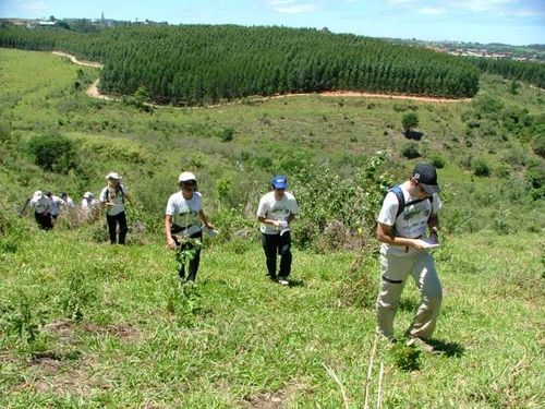 Etapa teve quase 600 trekkers. (foto: Divulgação)