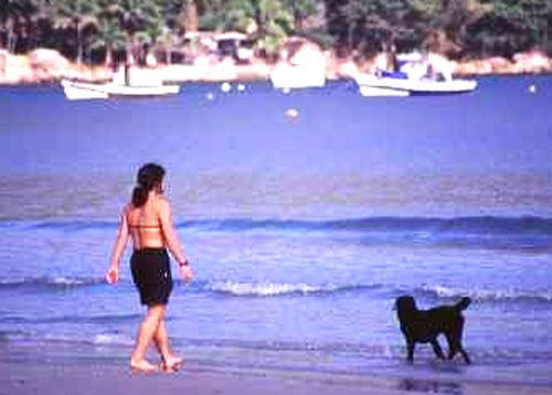 Barrados nos parques e até nas praias  mesmo sem legislação específica. (foto: Cláudio Patto)