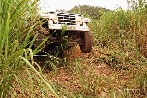 Etapa contou com 170 equipes. (foto: Tom Papp)