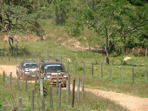 Categoria com mais carros foi a Fiat. (foto: Divulgação)