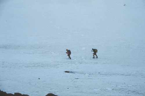 Antártica (foto: Nelson Bareta)