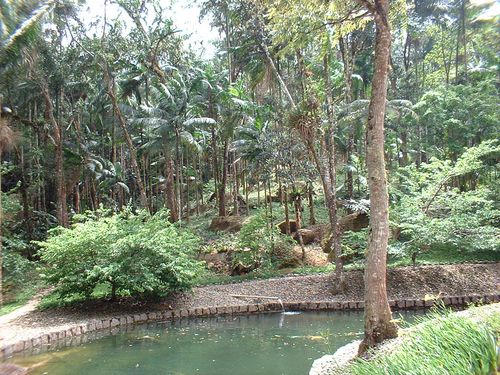 Trilha do Parque Nacional de Itatiaia (foto: Divulgação)