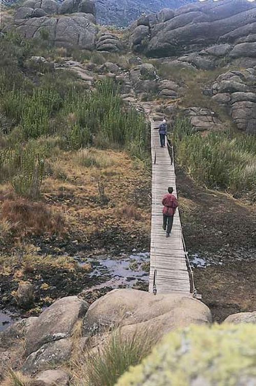 Parque Nacional do Itatiaia (foto: Marcelo André)