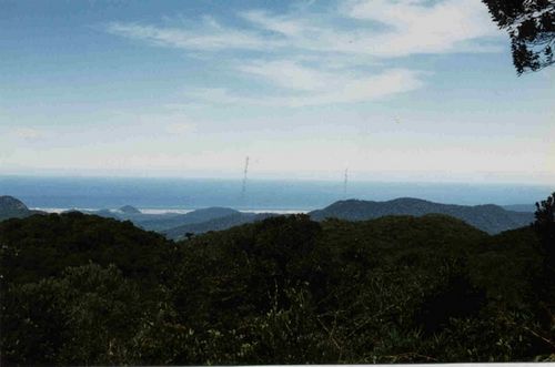 Região de Mata Atlântica (foto: Divulgação)