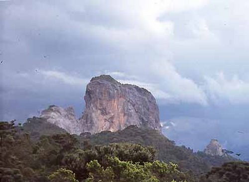 Visual do Complexo da Pedra do Baú  onde escaladores e 'rapeleiros' disputam espaço (foto: Tomás Gridi Papp)