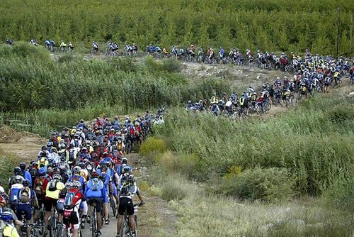 Pelotão na trilha do Cape Epic 2007 (foto: Divulgação)