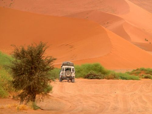 Dunas vermelhas de Sussusvlei. (foto: Glaucia Hauser )