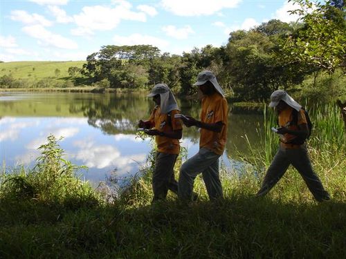 Prova contou com a presença de 345 atletas. (foto: Divulgação)