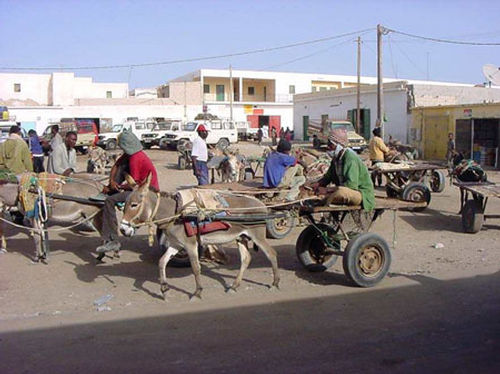 Cena típica de Nouadhibou (foto: )