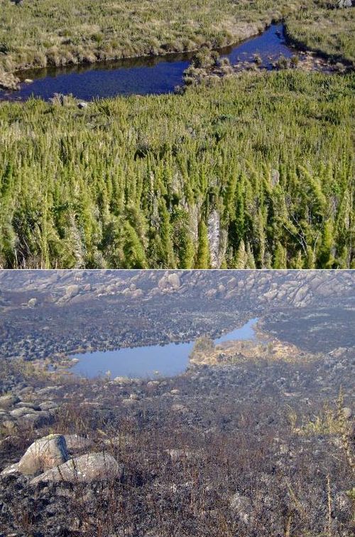 A Lagoa do Cavalo antes (acima) e depois do incêndio (foto: PrevFogo/Ibama-PNI)