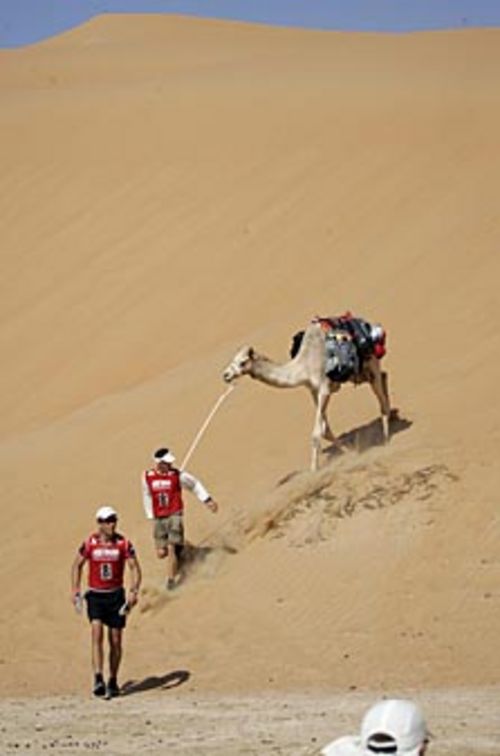 Estágio de orientação com camelos tem tempo desconsiderado (foto: Divulgação/ Abu Dhabi Challenge)