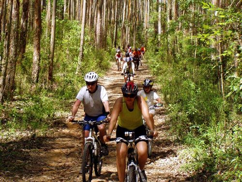 A comemoração contou com cerca de 80 participantes (foto: Divulgação)