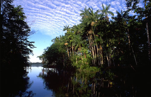 O rio Amazonas é o maior do mundo em volume de água (foto: Paratur - Cia Paraense de Turismo)