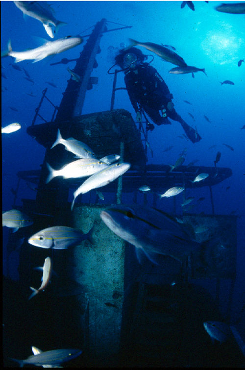 Mergulhar em naufrágios requer técnica especial. (foto: Alcides Falanghe / Scuba)